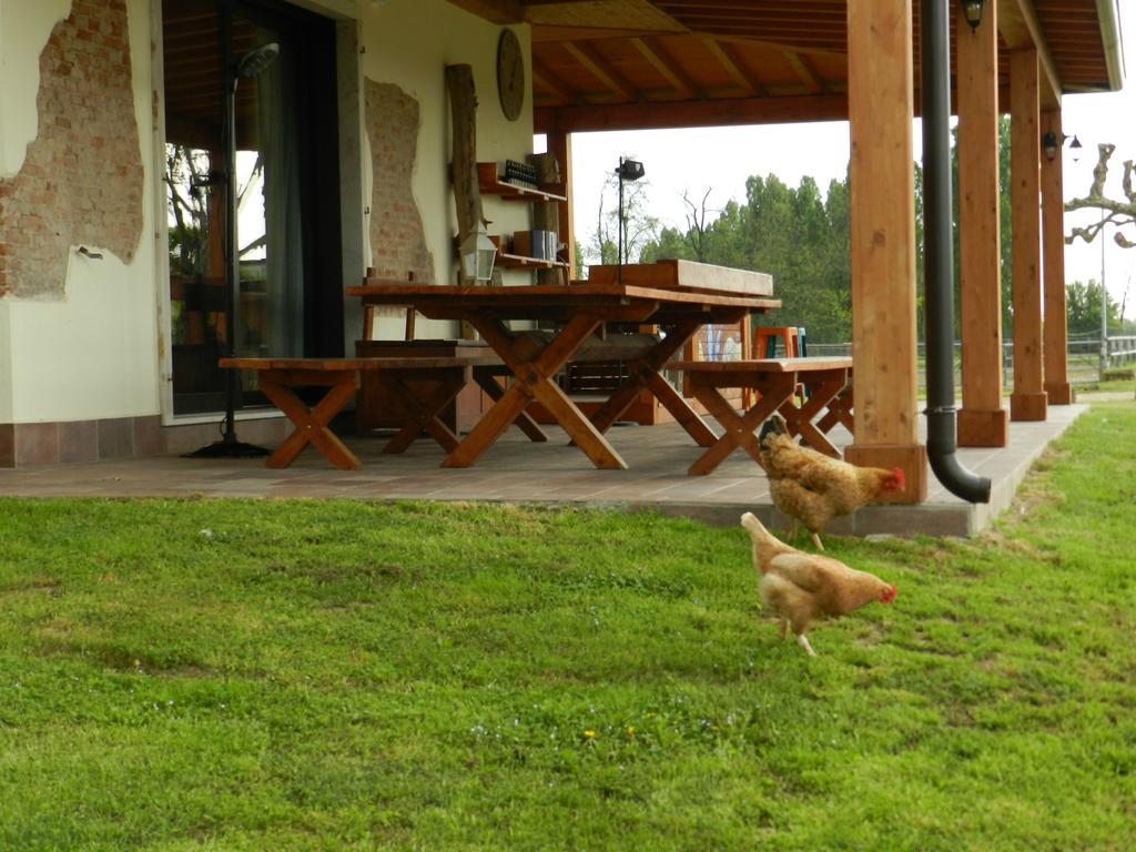 Agriturismo Zio Michele Hotel Isola Della Scala Eksteriør billede
