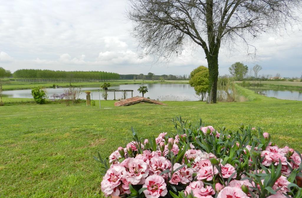 Agriturismo Zio Michele Hotel Isola Della Scala Eksteriør billede